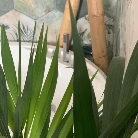 La Bulle Suspendue Bassevelle