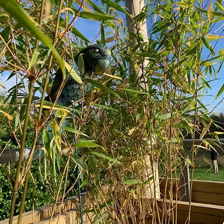 La Bulle Suspendue Bed & Breakfast