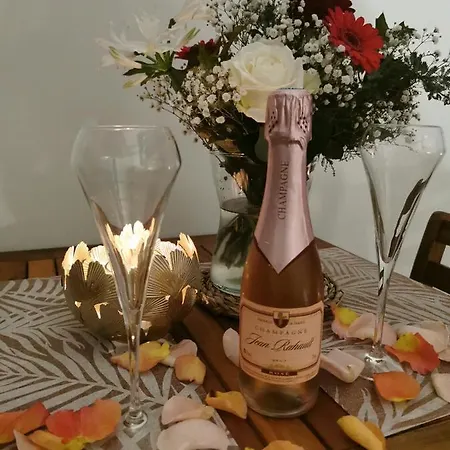 La Bulle Suspendue Bed & Breakfast Bassevelle