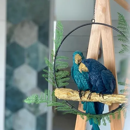 La Bulle Suspendue 3* Bassevelle