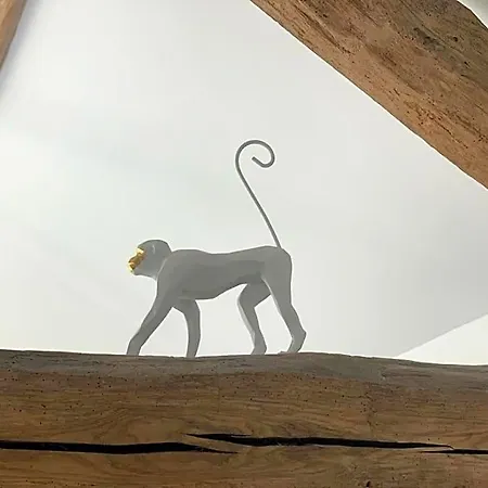 La Bulle Suspendue Bassevelle