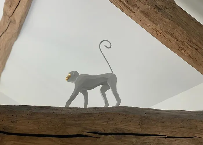 Couette-café La Bulle Suspendue Bassevelle